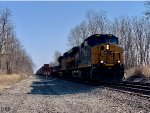 CSX 3196 on I169 